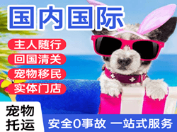 长乐航空空运国际宠物托运 【国